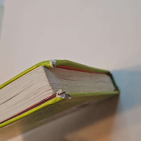 Diary of a Wimpy Kid Hard Luck Amulet Books Home Accents Table Books - Picture 6 of 17